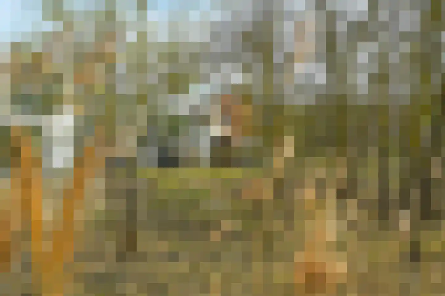 Duinslag 71 Den Haag thumbnail 23
