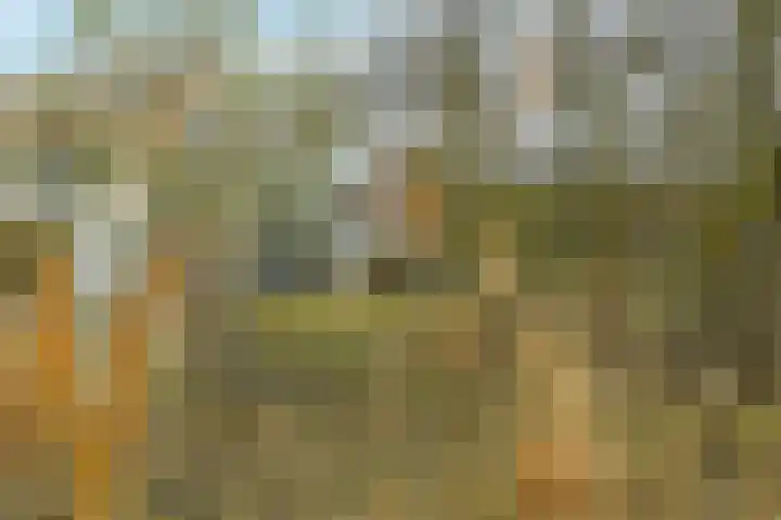 Duinslag 71 Den Haag thumbnail 23