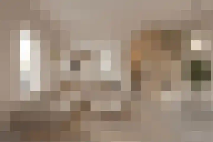 Duinslag 71 Den Haag thumbnail 6