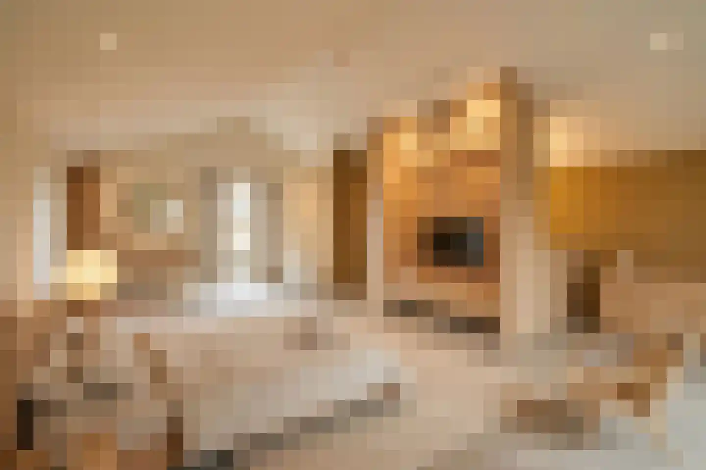 Duinslag 71 Den Haag thumbnail 9