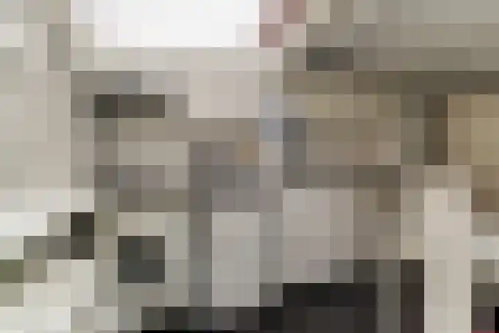 Duinsteeg 17 Hoorn thumbnail 13