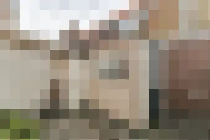 Duinsteeg 17 Hoorn thumbnail 18