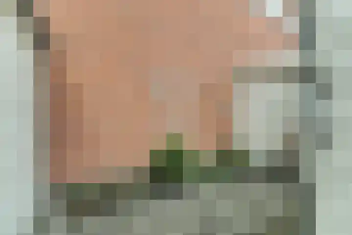 Duinsteeg 17 Hoorn thumbnail 20