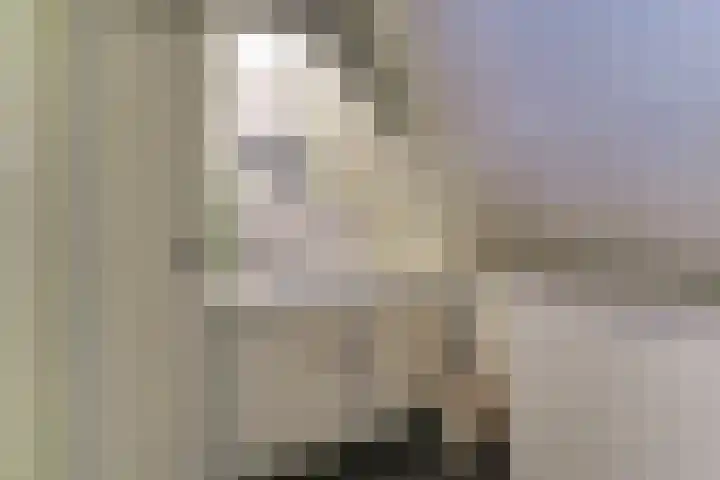 Duinsteeg 17 Hoorn thumbnail 27