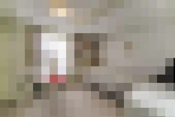 Duinsteeg 17 Hoorn thumbnail 28
