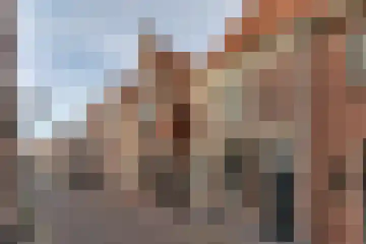 Duinsteeg 17 Hoorn thumbnail 37
