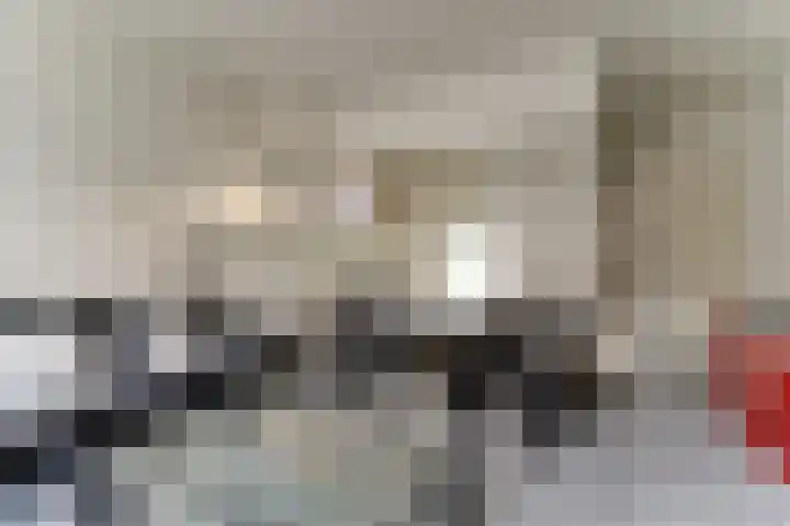 Duinsteeg 17 Hoorn thumbnail 8