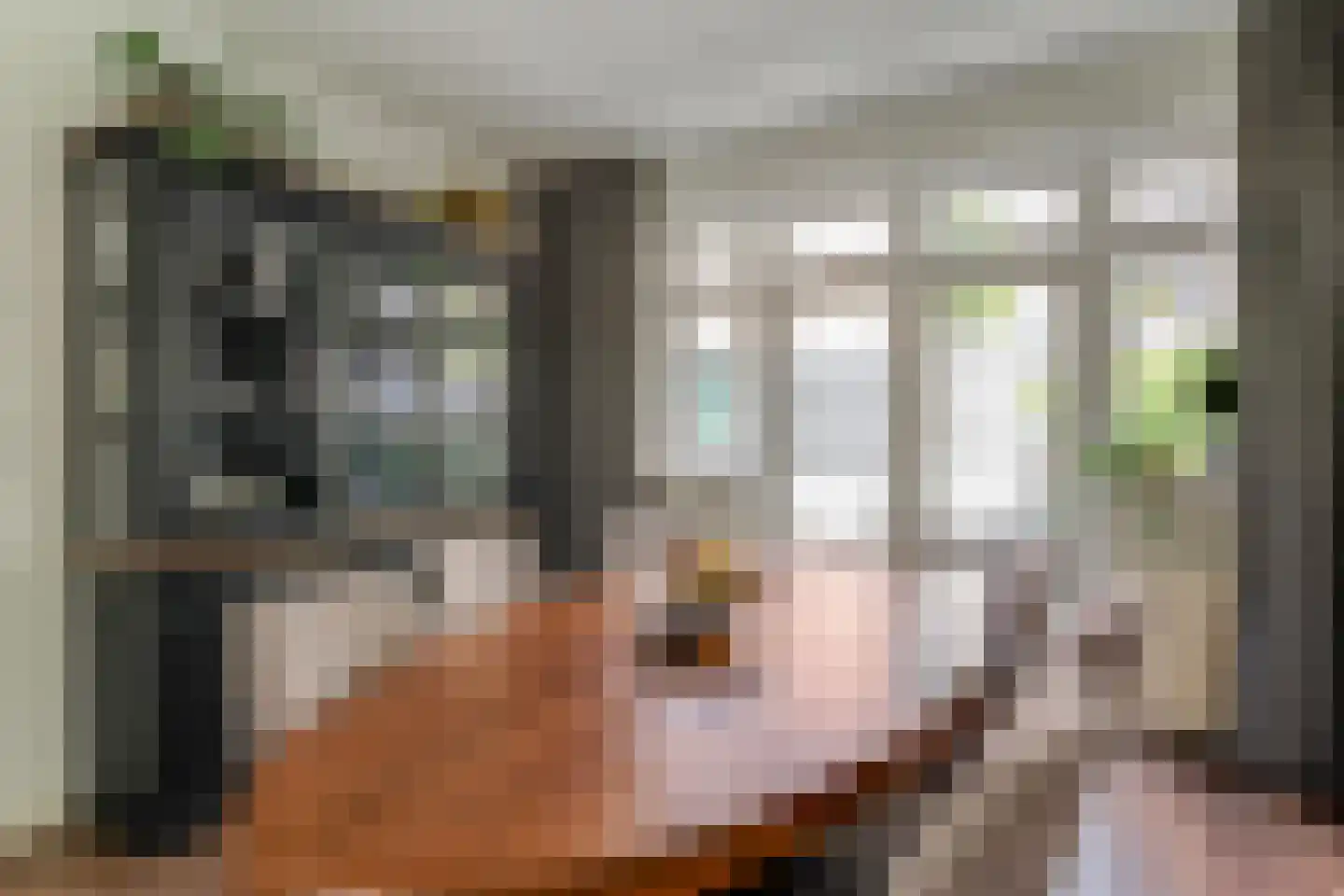 Duinsteeg 19 Hoorn thumbnail 13
