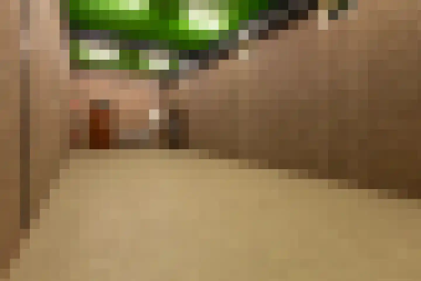 Duinstraat 1 a Hoogerheide thumbnail 25