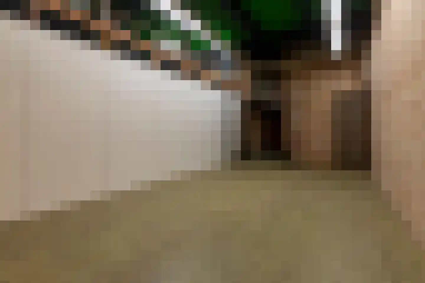 Duinstraat 1 a Hoogerheide thumbnail 27