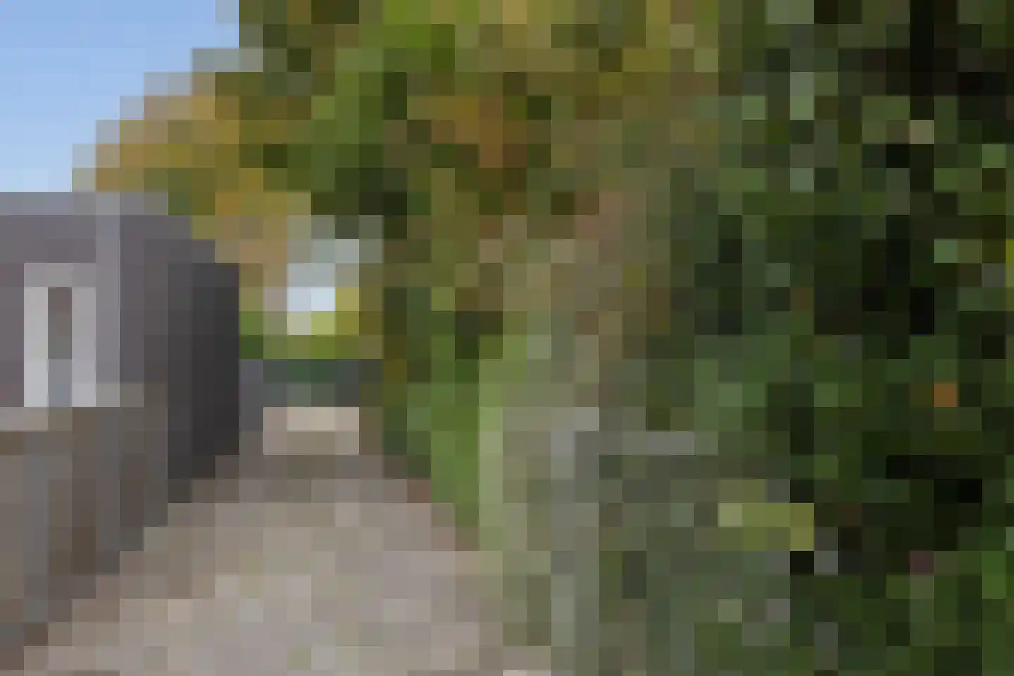 Duinstraat 1 a Hoogerheide thumbnail 32