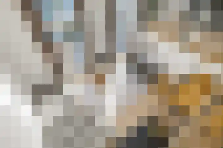 Duinstraat 10 H Den Haag thumbnail 10