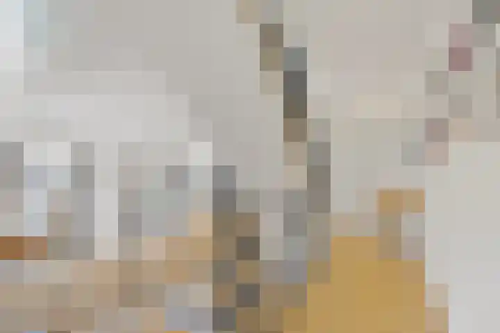 Duinstraat 10 H Den Haag thumbnail 22