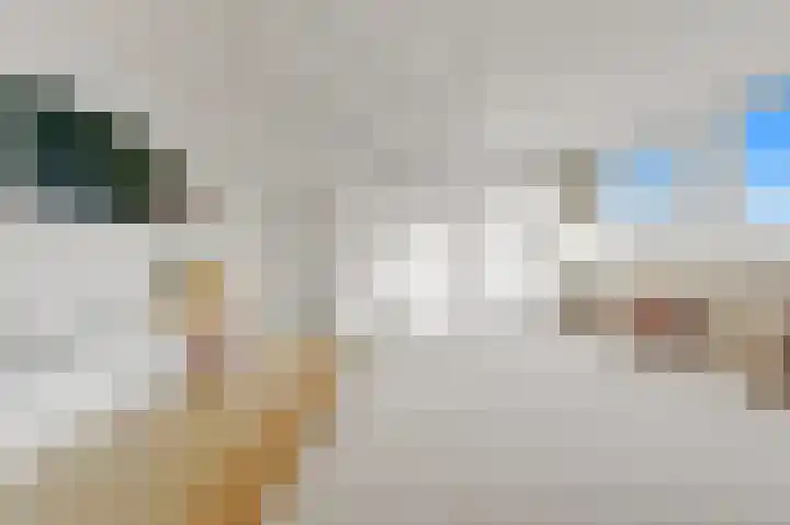 Duinstraat 10 H Den Haag thumbnail 30