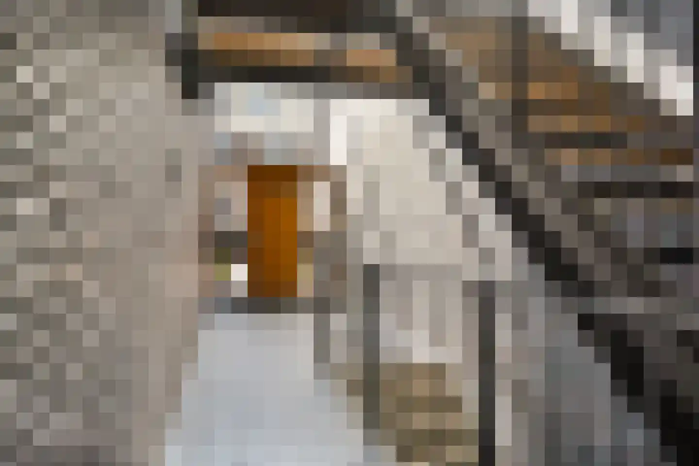 Duinstraat 15 A Den Haag thumbnail 4