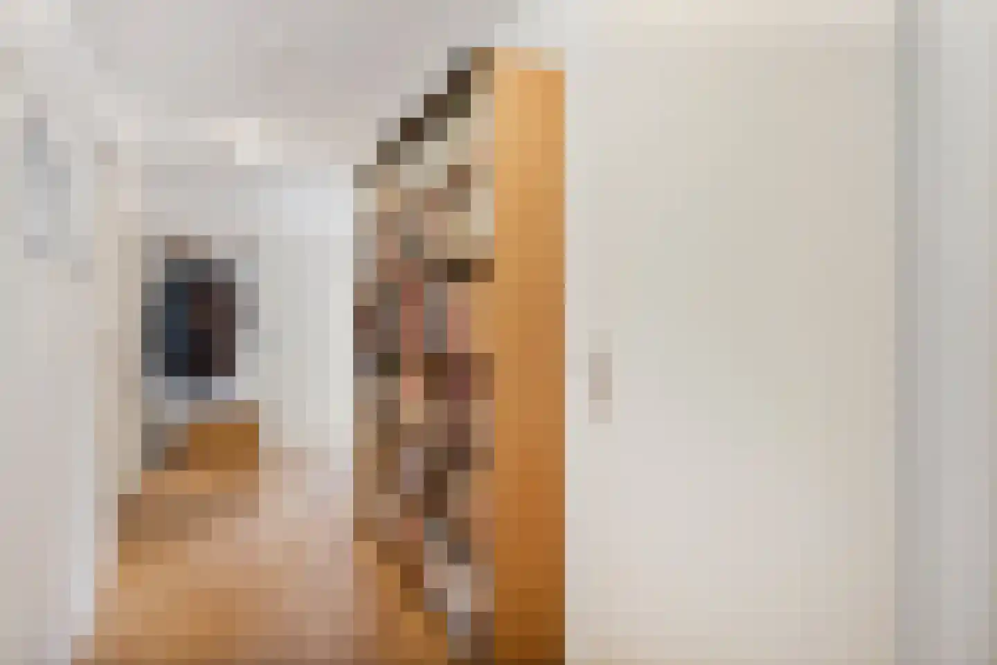 Duinstraat 15 A Den Haag thumbnail 6