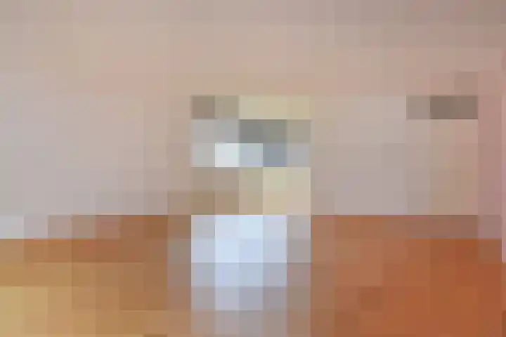 Duinstraat 15 B Den Haag thumbnail 10