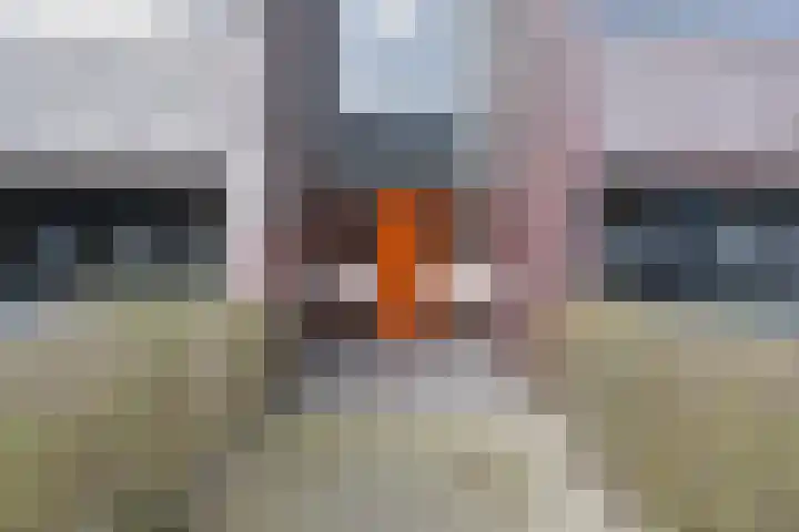 Duinstraat 15 B Den Haag thumbnail 21