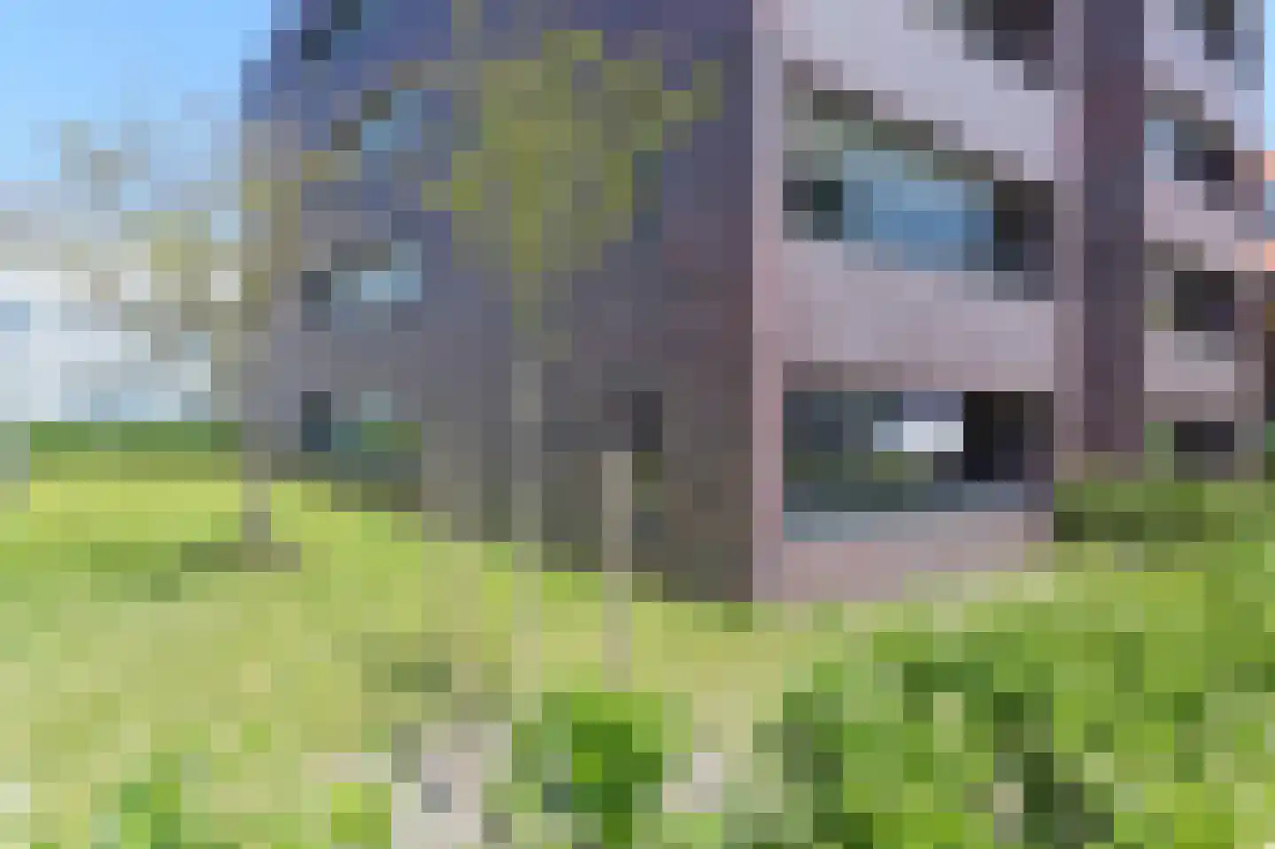Duinstraat 15 B Den Haag thumbnail 39