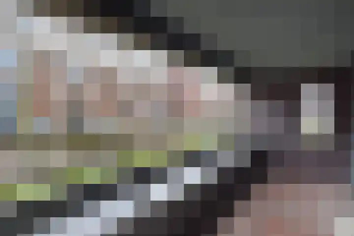 Duinstraat 15 B Den Haag thumbnail 5