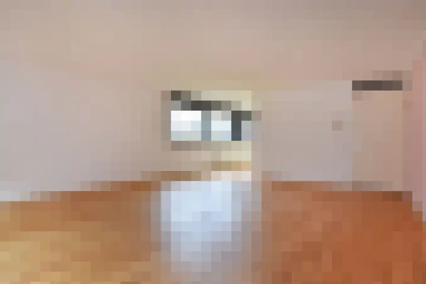 Duinstraat 15 D Den Haag thumbnail 10
