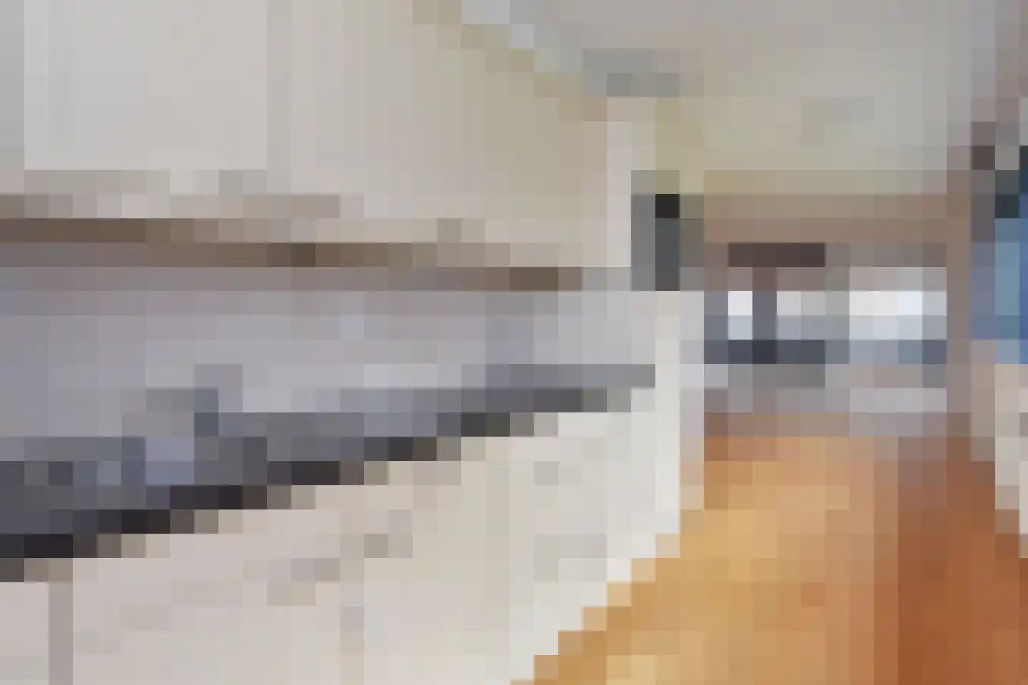 Duinstraat 15 D Den Haag thumbnail 8