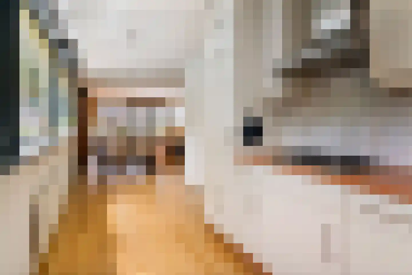 Duinstraat 15 E Den Haag thumbnail 17