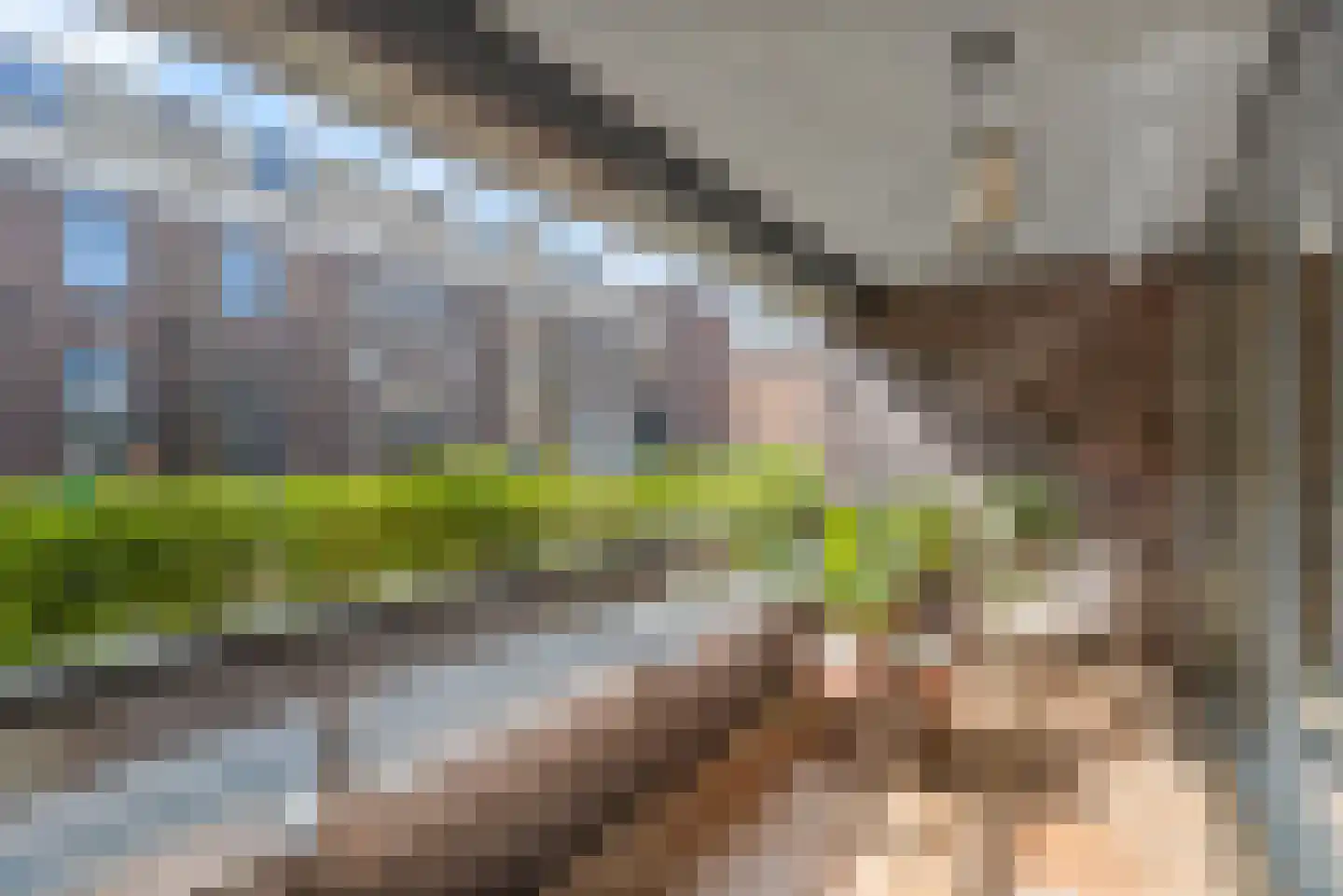 Duinstraat 15 E Den Haag thumbnail 19