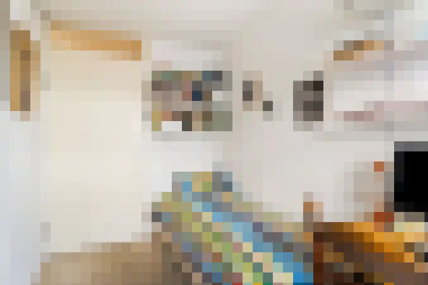 Duinstraat 15 E Den Haag thumbnail 24