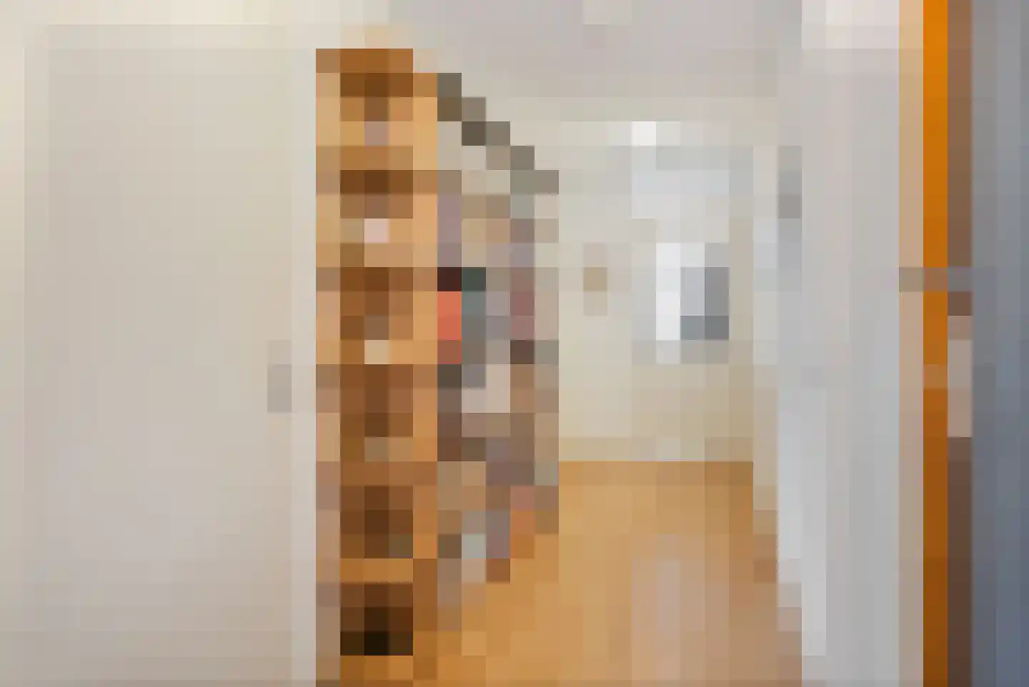 Duinstraat 15 E Den Haag thumbnail 7