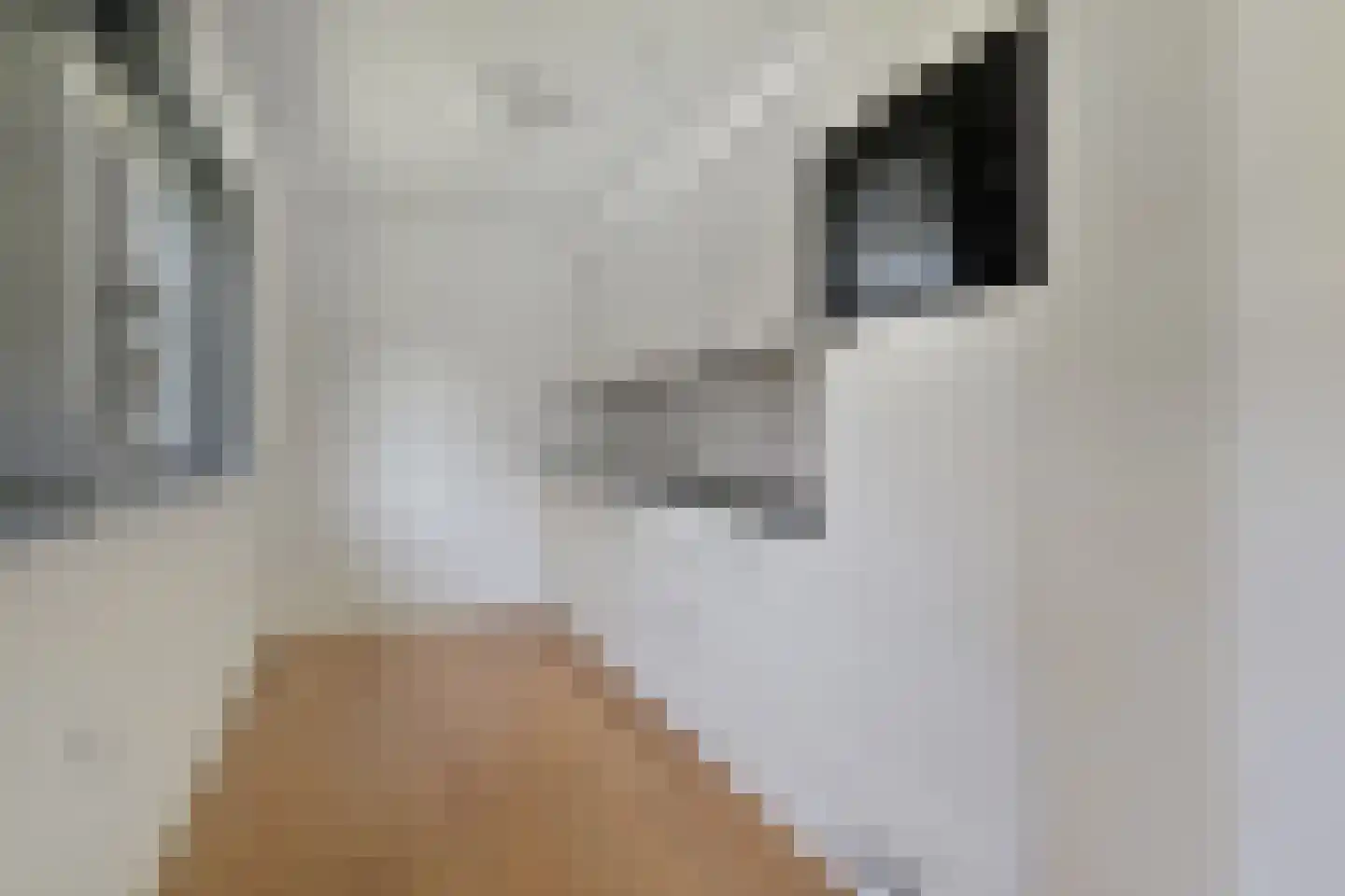 Duinstraat 15 H Den Haag thumbnail 13