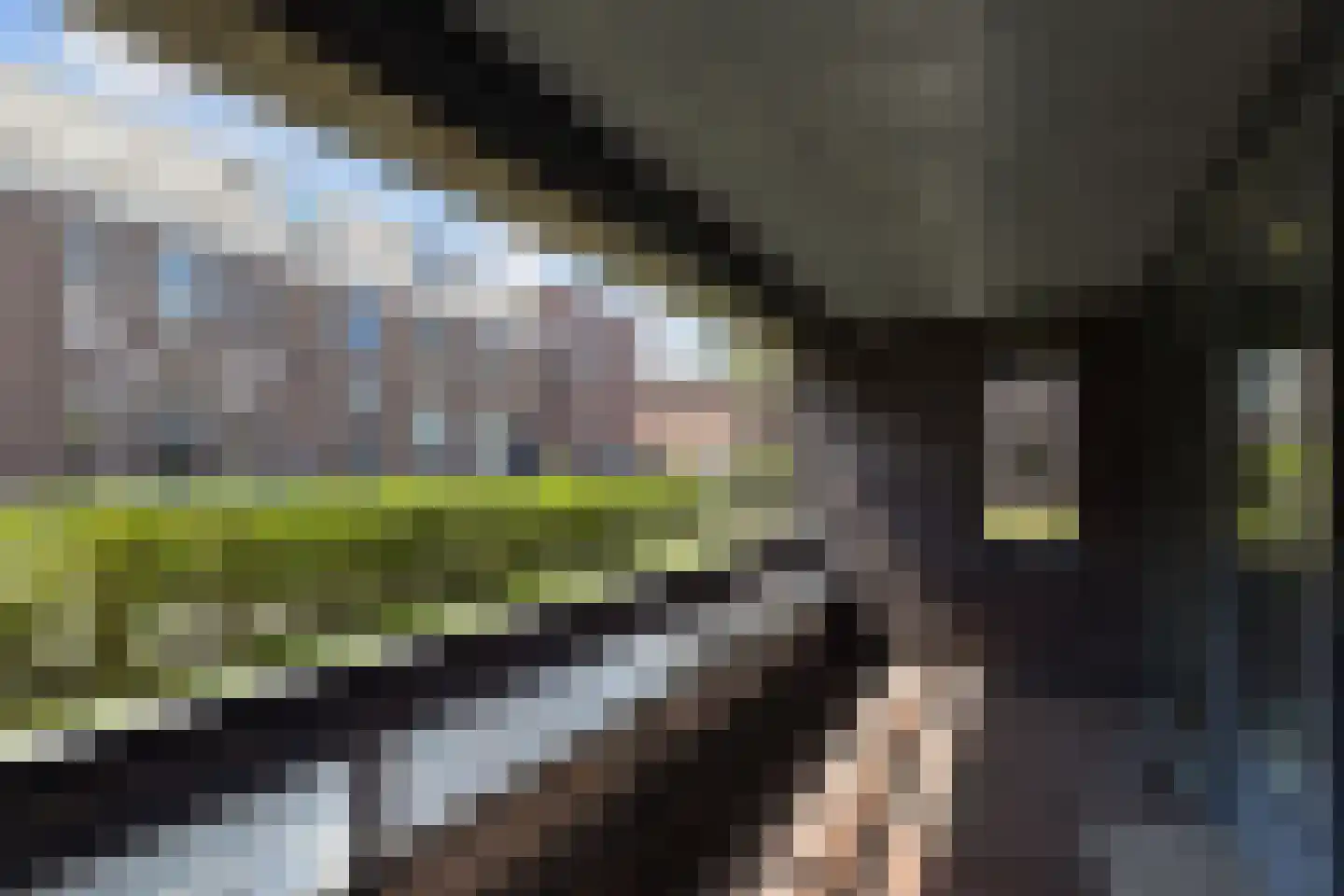 Duinstraat 15 H Den Haag thumbnail 8