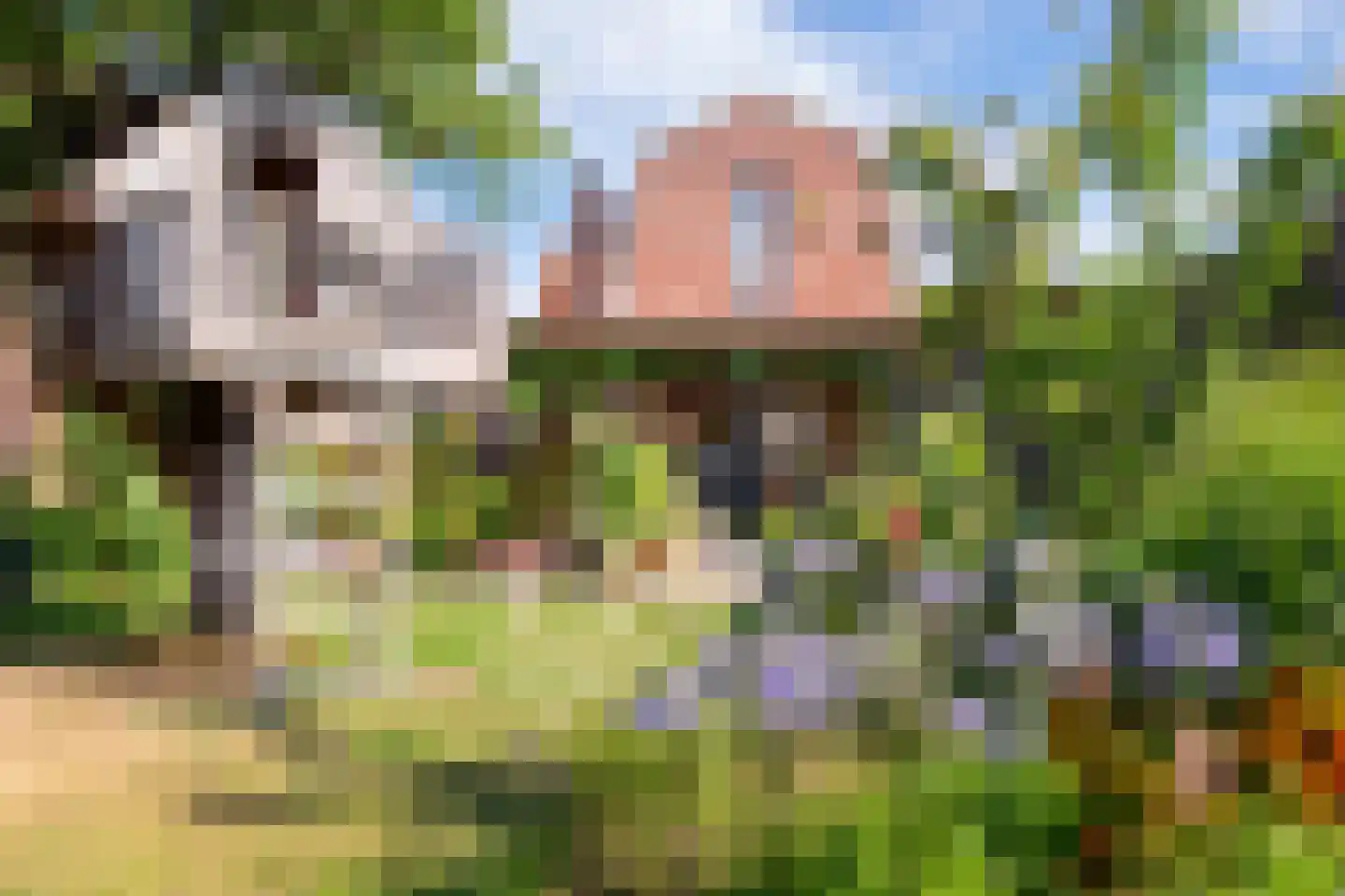 Duinstraat 16 Hoogerheide thumbnail 32