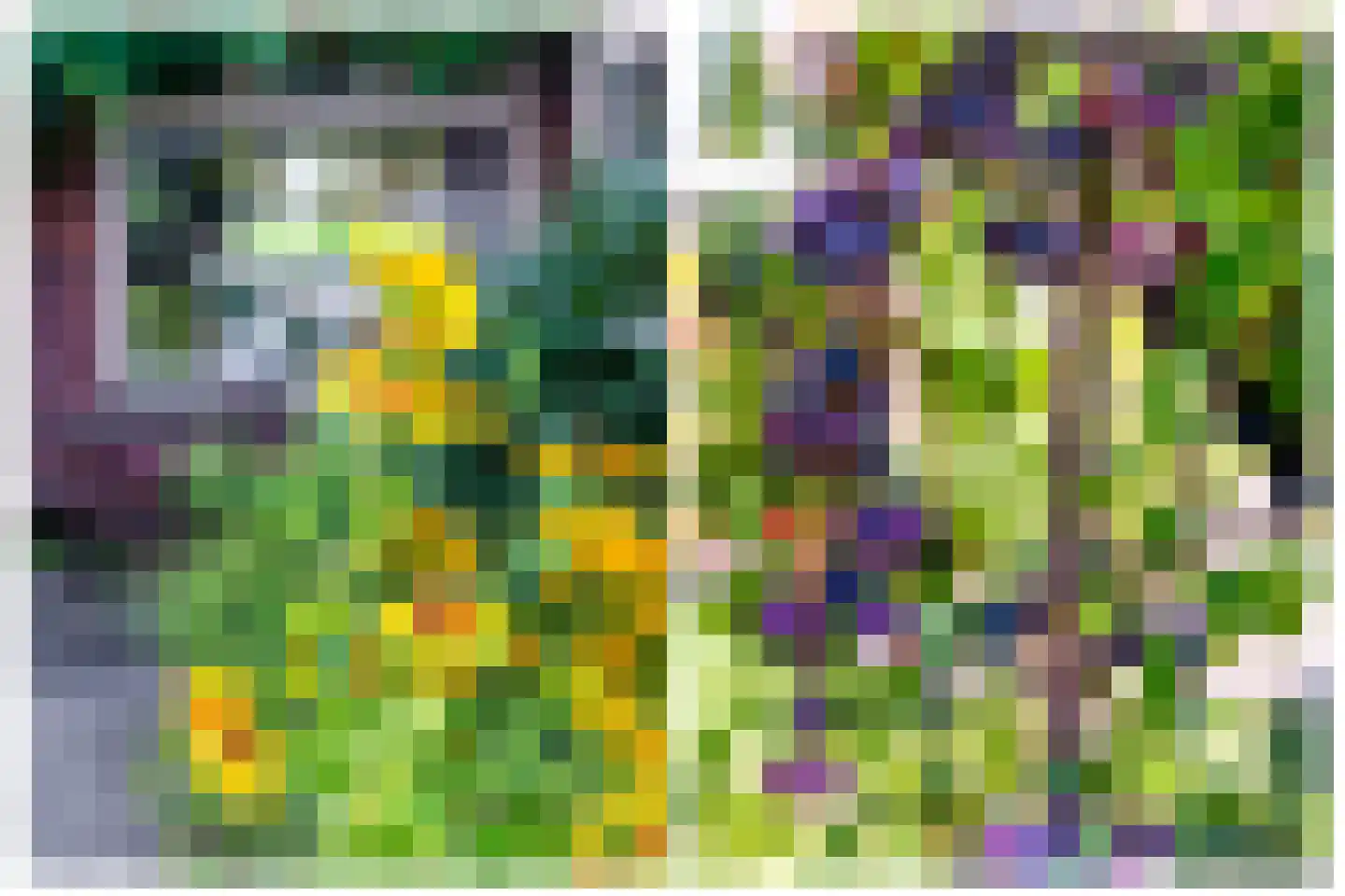Duinstraat 16 Hoogerheide thumbnail 37