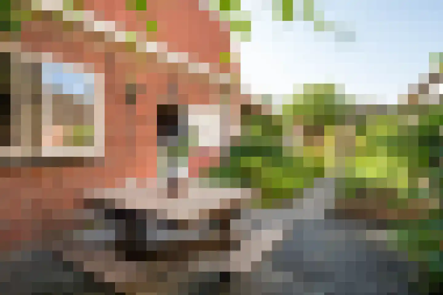 Duinstraat 16 Hoogerheide thumbnail 38
