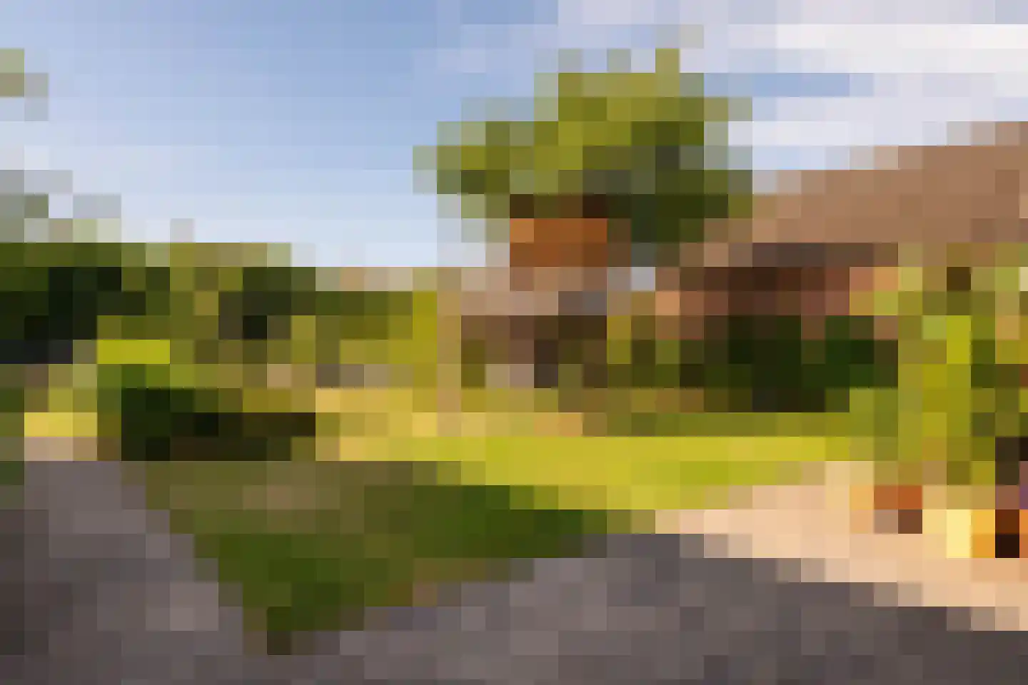 Duinstraat 16 Hoogerheide thumbnail 39