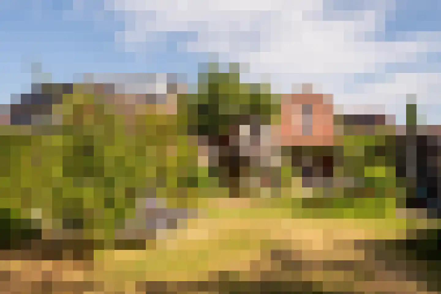 Duinstraat 16 Hoogerheide thumbnail 41