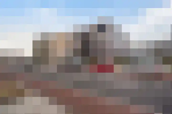 Duinstraat 17 G Den Haag thumbnail 4