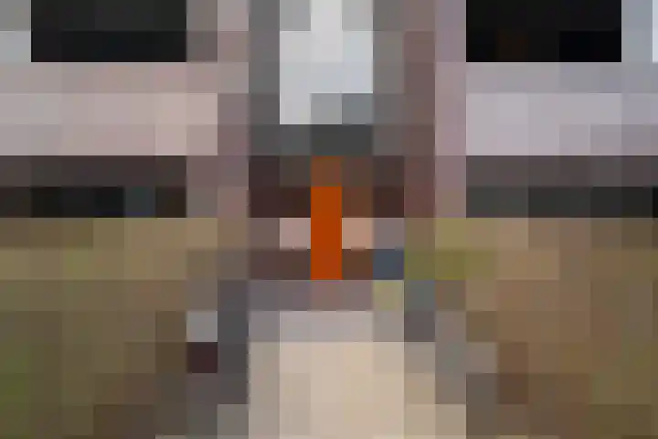 Duinstraat 17 G Den Haag thumbnail 5