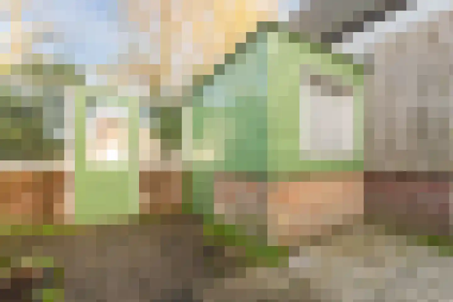 Duinstraat 19 Egmond aan Zee thumbnail 45