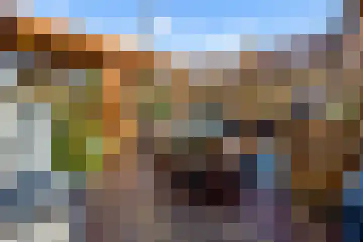 Duinstraat 21 Almere thumbnail 23