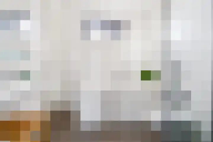 Duinstraat 21 Almere thumbnail 37
