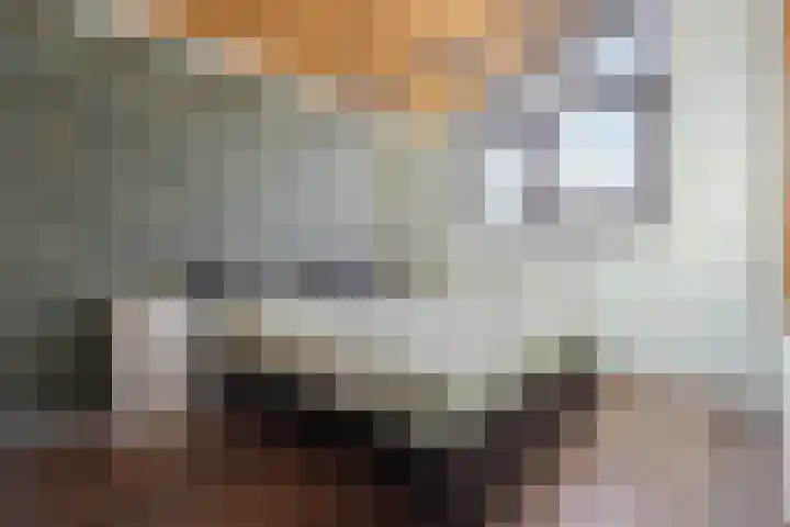 Duinstraat 21 Almere thumbnail 42