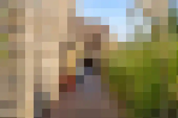 Duinstraat 21 Almere thumbnail 9