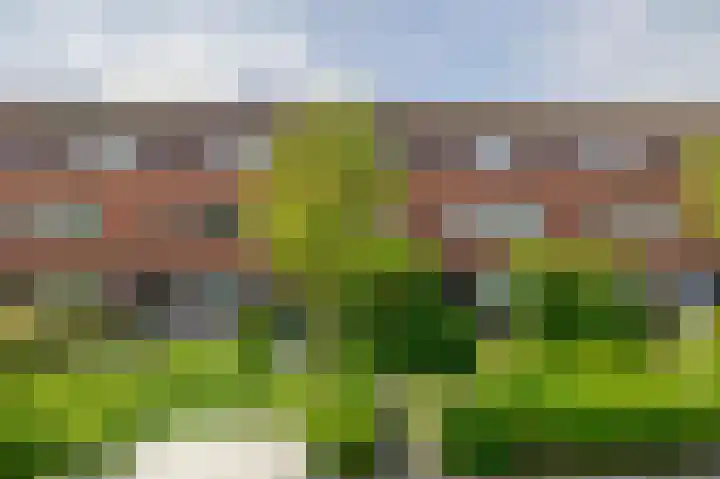 Duinstraat 24 Katwijk thumbnail 7