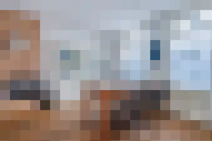 Duinstraat 25 Egmond aan Zee thumbnail 11
