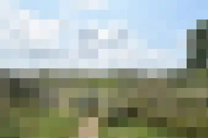 Duinstraat 25 Egmond aan Zee thumbnail 50