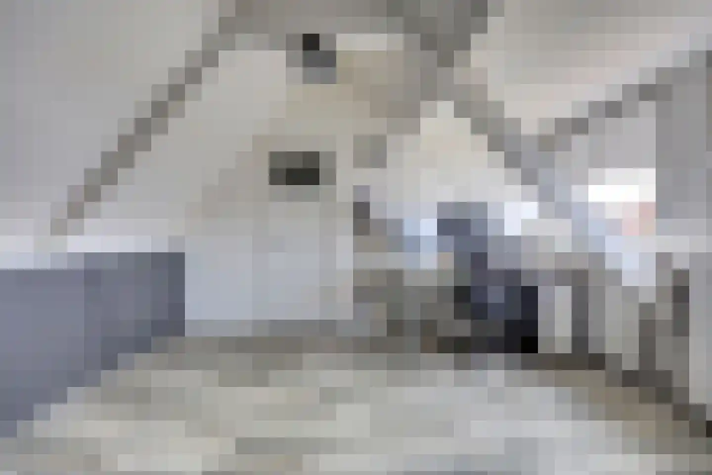 Duinstraat 27 Katwijk thumbnail 32