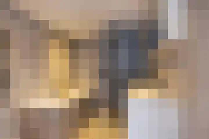 Duinstraat 27 Monster thumbnail 4