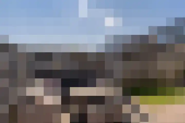 Duinstraat 27 Monster thumbnail 5